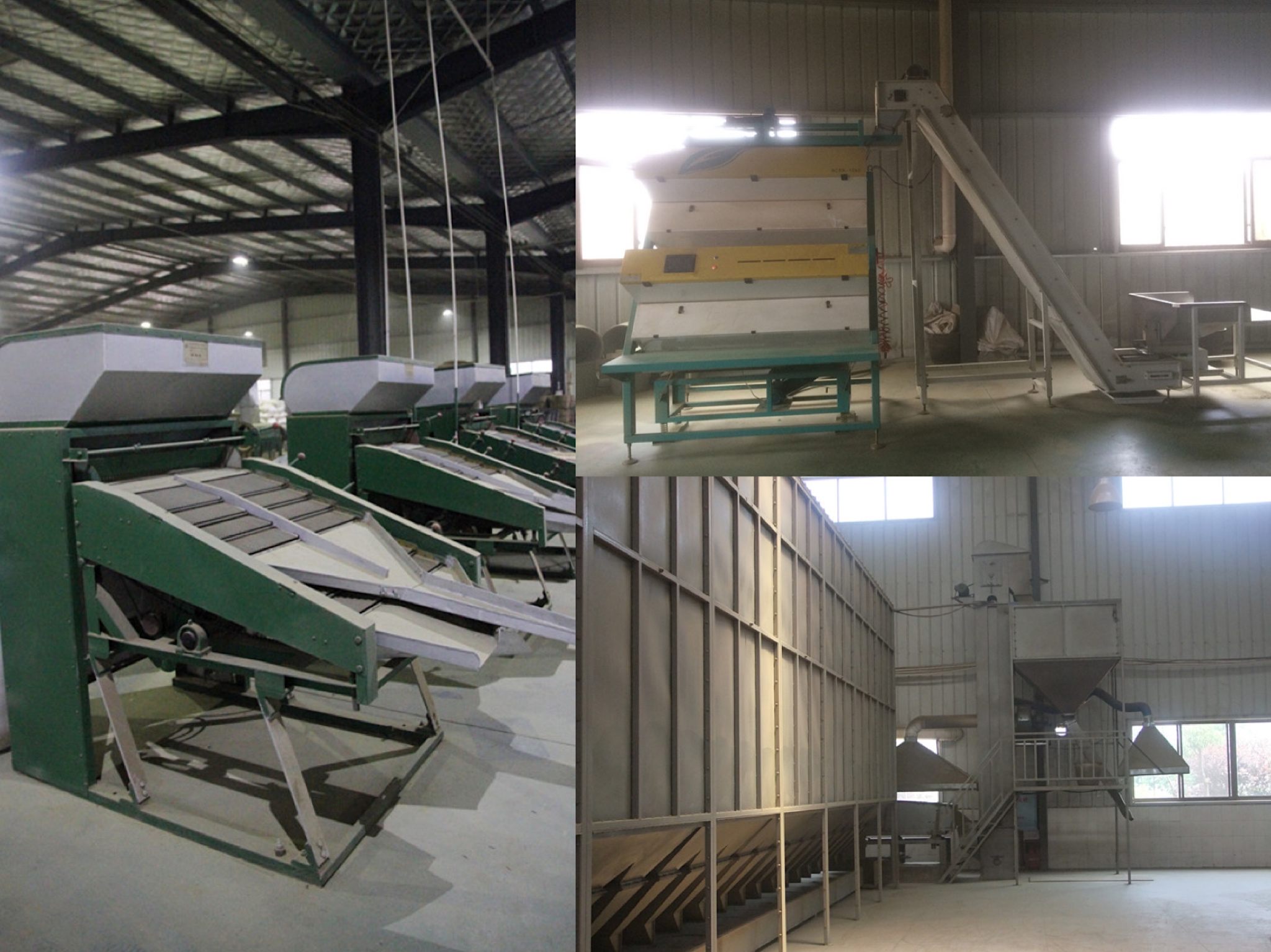 Bulk Tea Processing