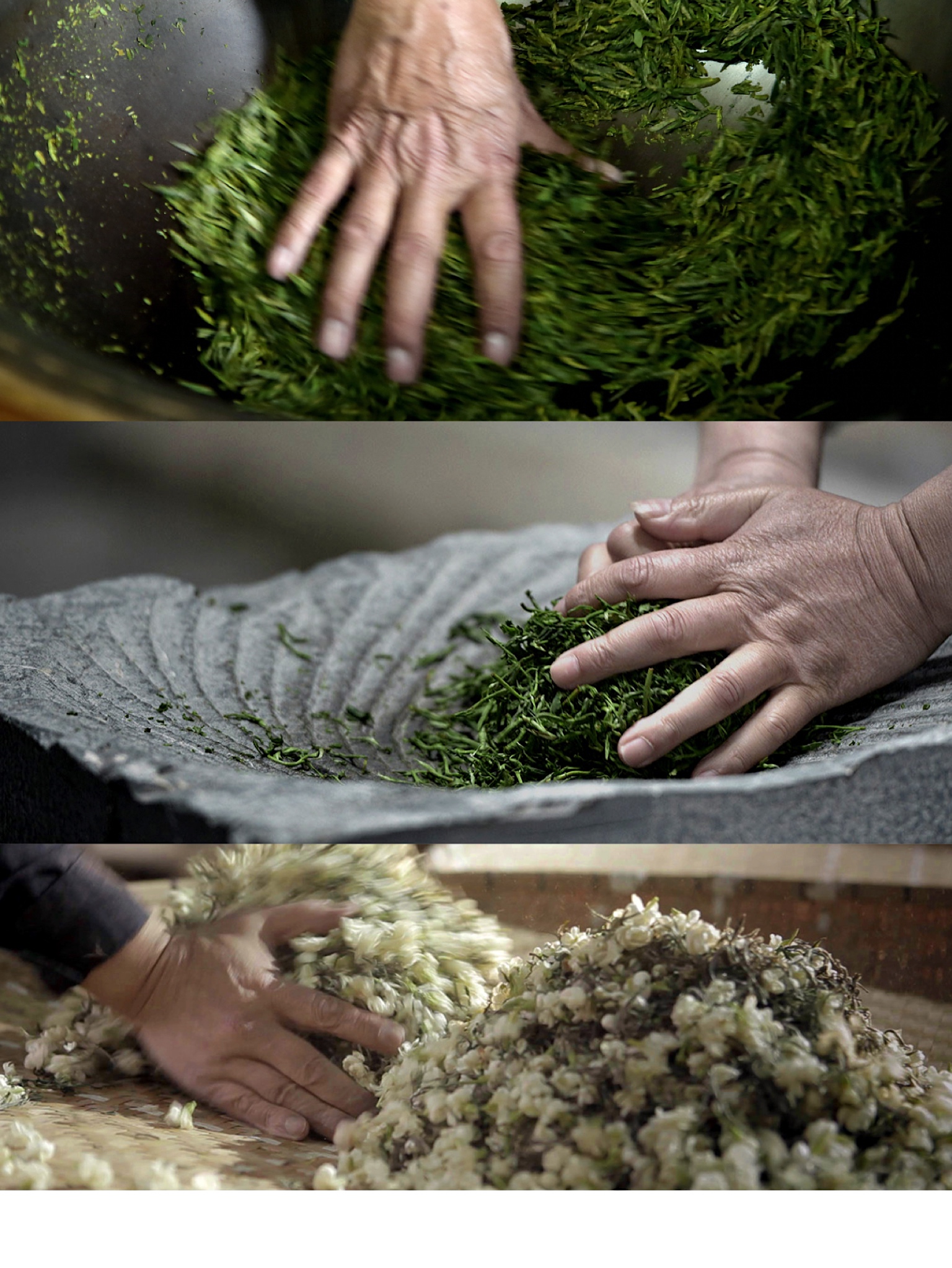 Specialty Tea Process