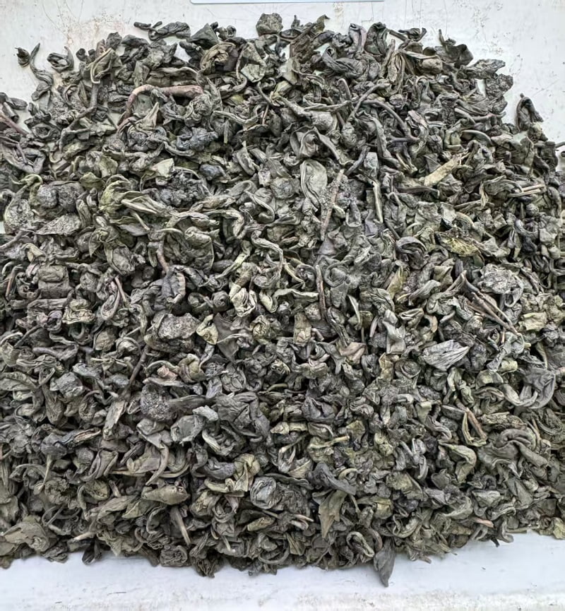 DL022 Gunpowder