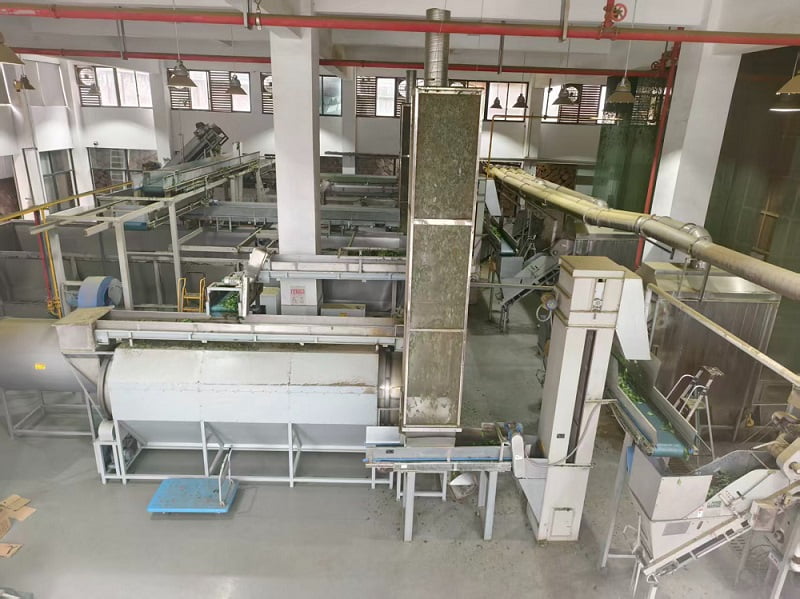 Bulk Tea Processing